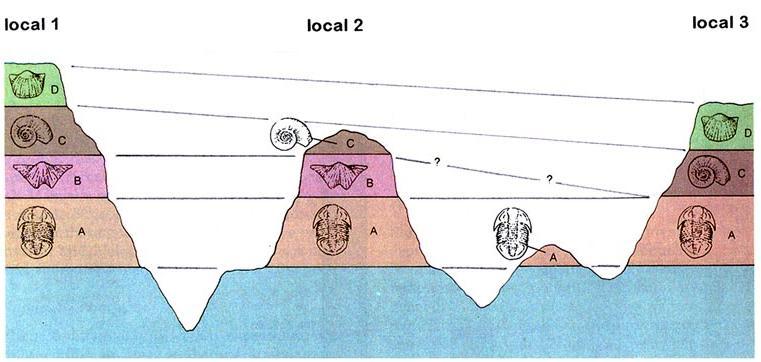 BIOESTRATIGRAFIA Baseada na correlação estratigráfica através do conteúdo fossilífero