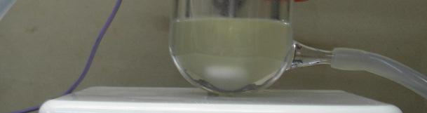 permite controlar o fluxo de eteno. Figura 11. Reator de vidro utilizado para reações de oligomerização.