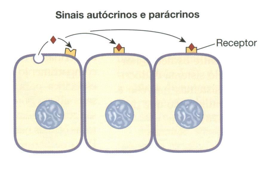 A comunicação local por substâncias que se difundem através do meio