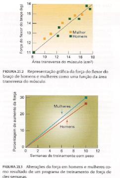 descanso; especificidade; Pesos Livres X