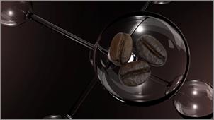 Extrato de semente de café Extrato de semente de café Vitamina E