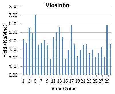 (Kg/vid) Peso cacho (g/cacho) 22.7±1.0 3.