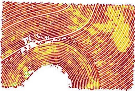 campo e as linhas de cana; Estimativa do impacto