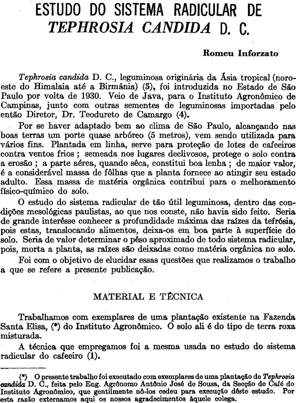 ESTUDO DO SISTEMA RADICULAR DE TEPHROSIA CANDIDA D. C. Romeu Inforzato (*) O presente trabalho foi executado com exemplares de uma plantação de Tephrosia candida D. C., feita pelo Eng.
