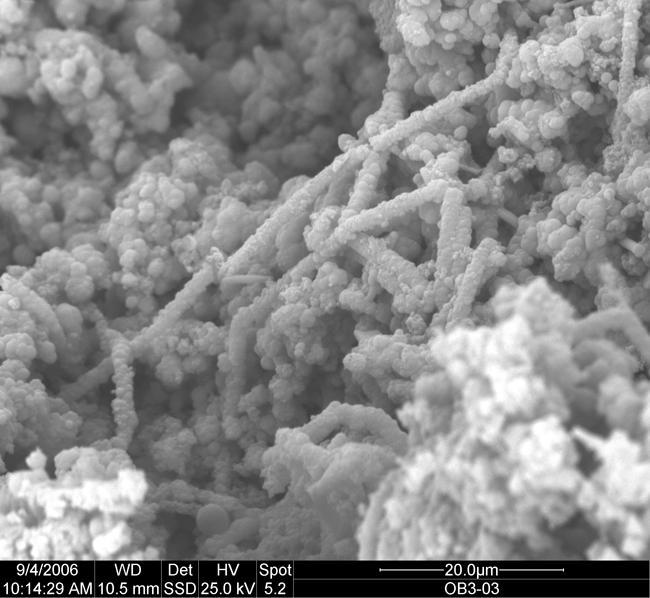 Em SEM observam-se microesferas de ópalo A formando uma massa geral, ou recobrindo filamemtos microbianos Aparecem muitos tipos de Diatomáceas Nas partes mais densas