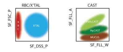 Tecnologia avançada Inovação da tecnologia de citometria de fluxo fluorescente com o novo laser semicondutor azul que garante: Mais