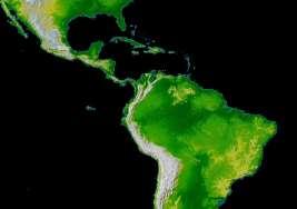 Artibeus obscurus Artibeus obscurus AMOVA Biomas: 54,9% da variação Divisão Amazônica: 63,68% Divergência entre os grupos 2%/milhão de anos 2,5% a 3,9% ----------> 1,5 a 1,9