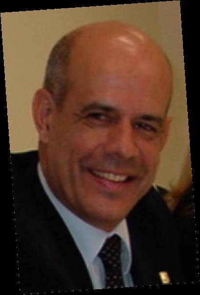 Luiz Otávio Pimentel Doutor em Direito de Propriedade Intelectual Professor da Universidade Federal de Santa