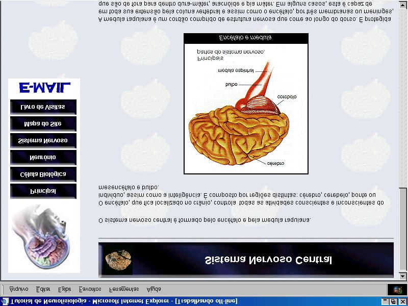 4 FIGURA 2: Página do sistema nervoso central - Sistema nervoso central : Detalha o funcionamento deste sistema destacando suas principais partes (figura 2).