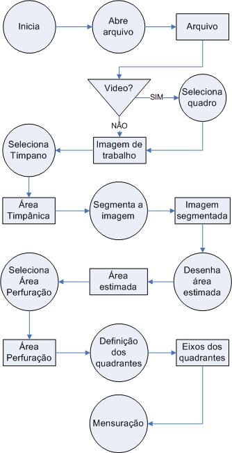 utilizadas pelo mesmo grupo com o auxilio do software Image Pro Plus [8].