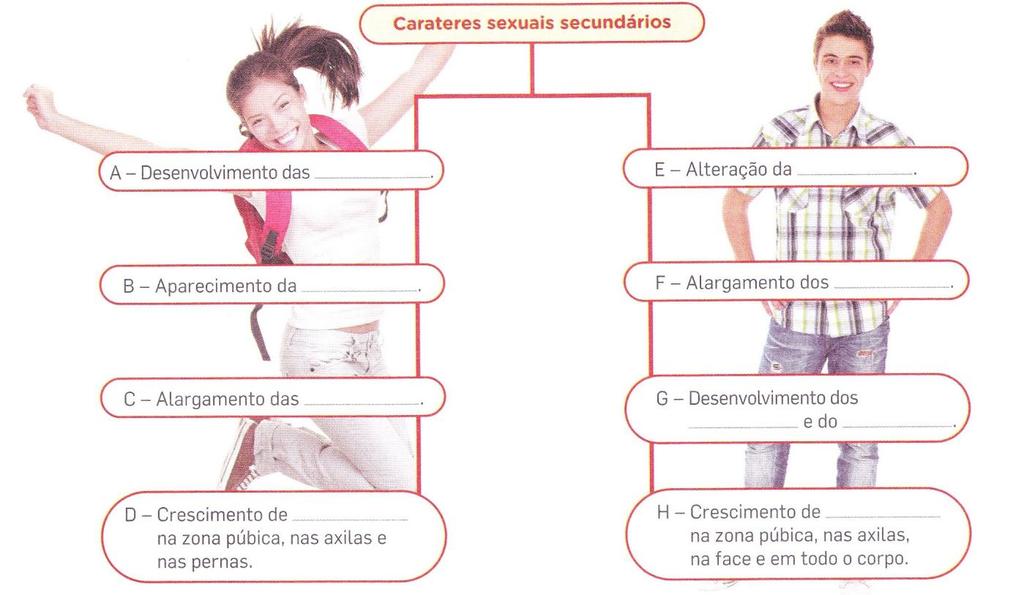 11. Através da pele liberta-se o suor, constituído por desperdícios resultantes da respiração celular. 11.1. Entre as afirmações que se seguem indica as que se referem a cuidados a ter com a pele: A- Não se expor ao sol nas horas de mais calor.