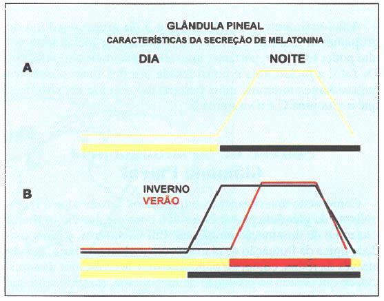 Melatonina