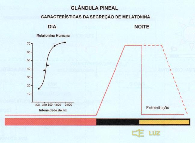 Melatonina Fotoinibição da secreção