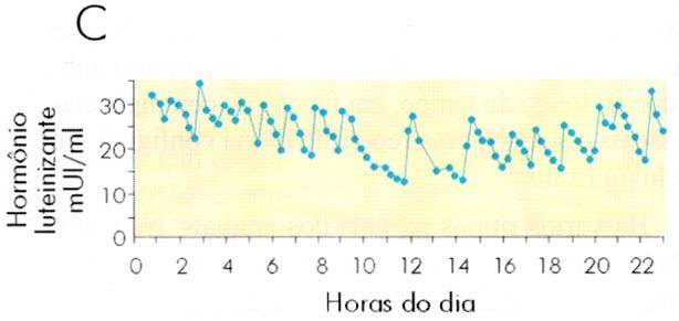 Ritmos Biológicos Ritmos Ultradianos Cem Bilhões de