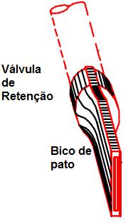 bico de pato Luis Carlos