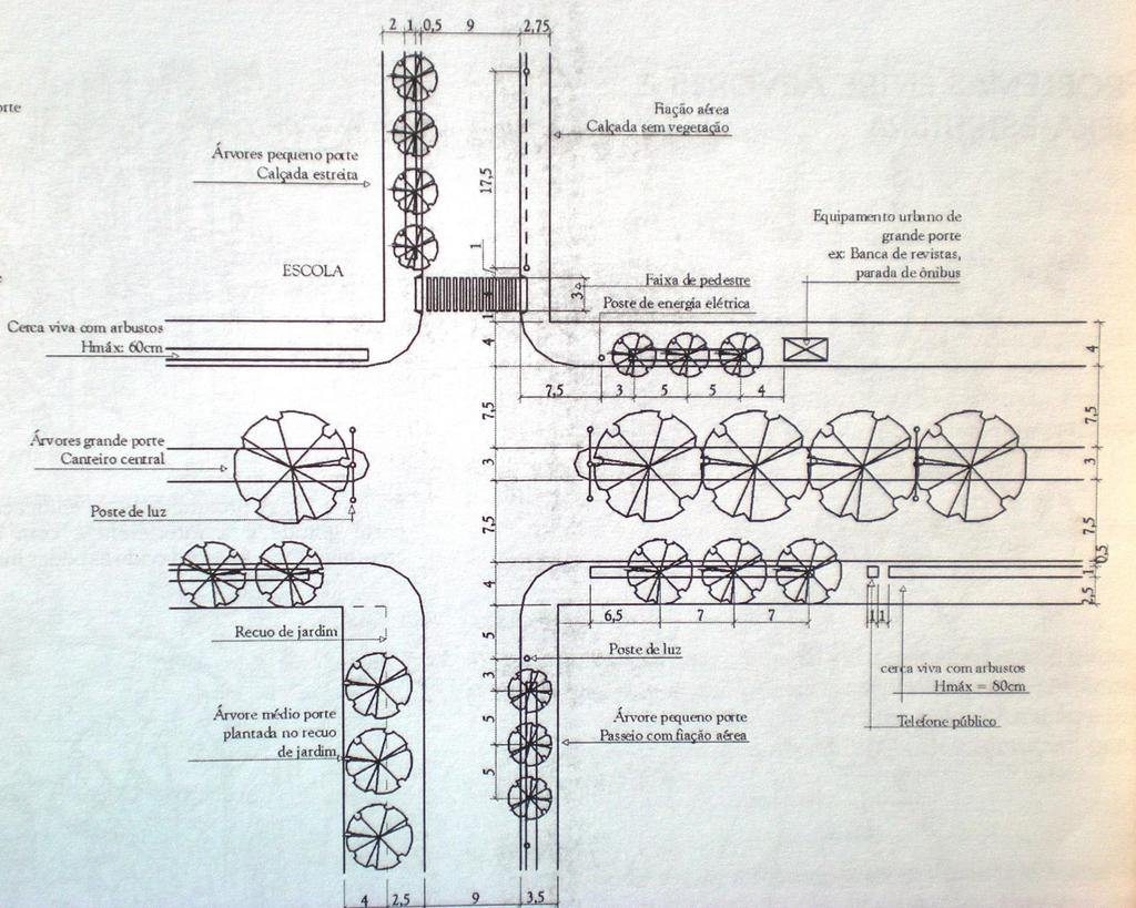 Esquema de arborização do