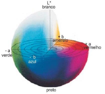 3.3 Percepção e medição da cor De maneira geral, a percepção da cor baseia-se em processos físicos, químicos, fisiológicos e psicológicos (ZOLLINGER, 1991).
