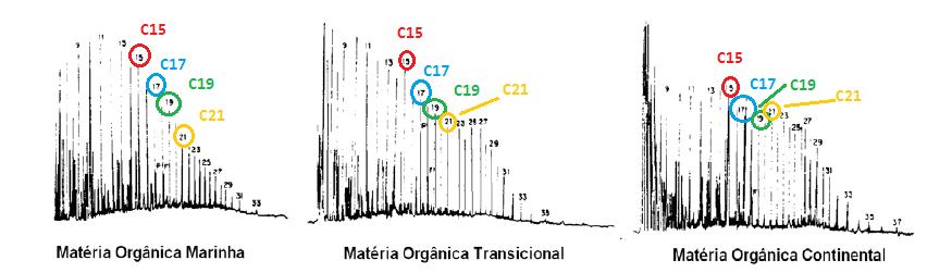 63 C33). Já para matéria orgânica de origem marinha há a predominância dos n- alcanos de massa molecular mais baixa (C15 a C17).