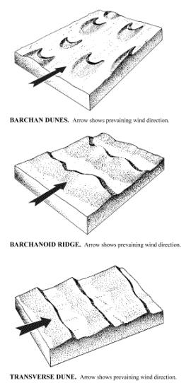 43 (A) (B) (C) Figura 21 - Alguns dos tipos básicos de dunas eólicas: (A) Barcana: formadas em regiões secas com baixa disponibilidade de sedimentos, vegetação ausente e se alongam na direção do