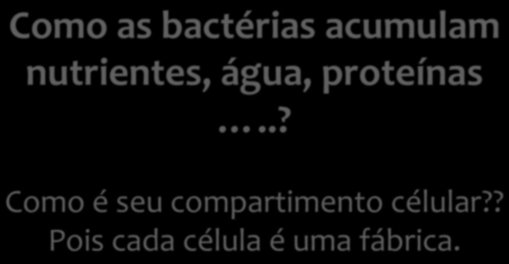 Como as bactérias acumulam nutrientes, água, proteínas.