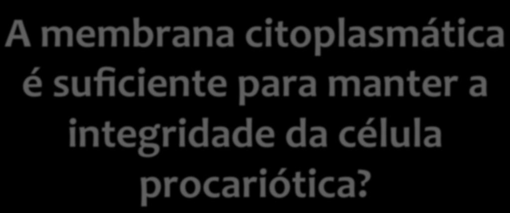 A membrana citoplasmática é suficiente para