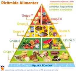 Pirâmide Alimentar Anexo 2 Alimentar é dar ao organismo os nutrientes necessários à sua manutenção. Os nutrientes são encontrados nos alimentos, que podem ser tanto de origem vegetal como animal.