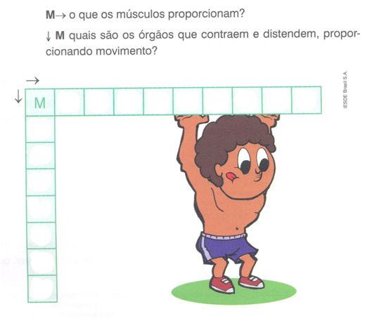 Sexta-feira / Ciências Curitiba, 16 de maio de 2014. Para fazer no caderno de desenho.