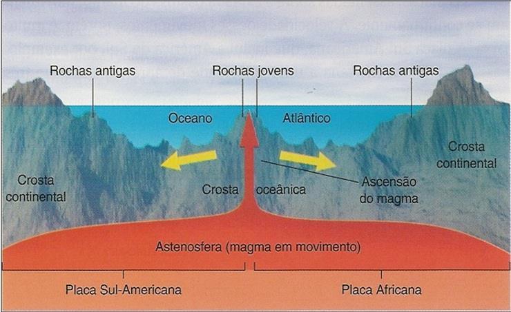 - Movimento