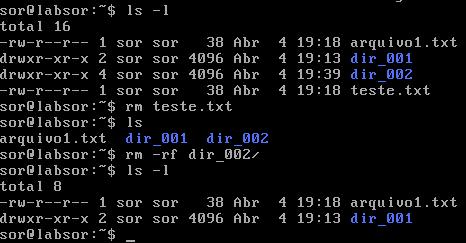 Exemplos de utilização dos comandos Comando rm