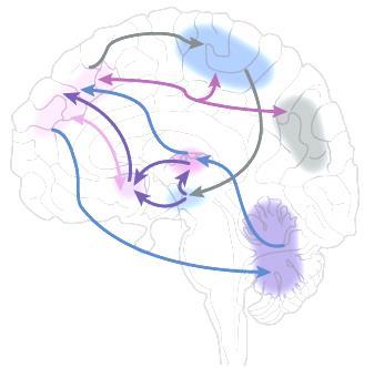 NEUROMODULAÇÃO NO TDAH