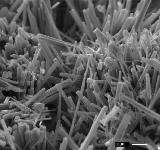 - Imagens de microscópio electrónico de pastas de cimento endurecido.