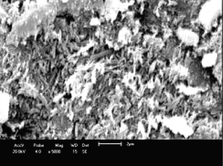 M. L. Varela et al. / Cerâmica 55 (2009) 209-215 215 Figura 9: Micrografia por MEV da amostra MP2 sinterizado a 1230 ºC no forno da indústria cerâmica.