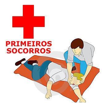 problemas. Considerando casos simples, os primeiros socorros foram elaborados com intenção de auxilio rápido para garantir o bem estar dos pacientes. Oficina 2.