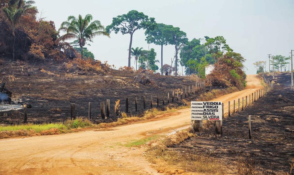 O casal de caminhoneiros Elisenia Medeiros e Geraldo Aparecido; áreas queimadas em Novo Progresso; caminhões atravessam a divisa de Mato Grosso com o Pará mais de 1.