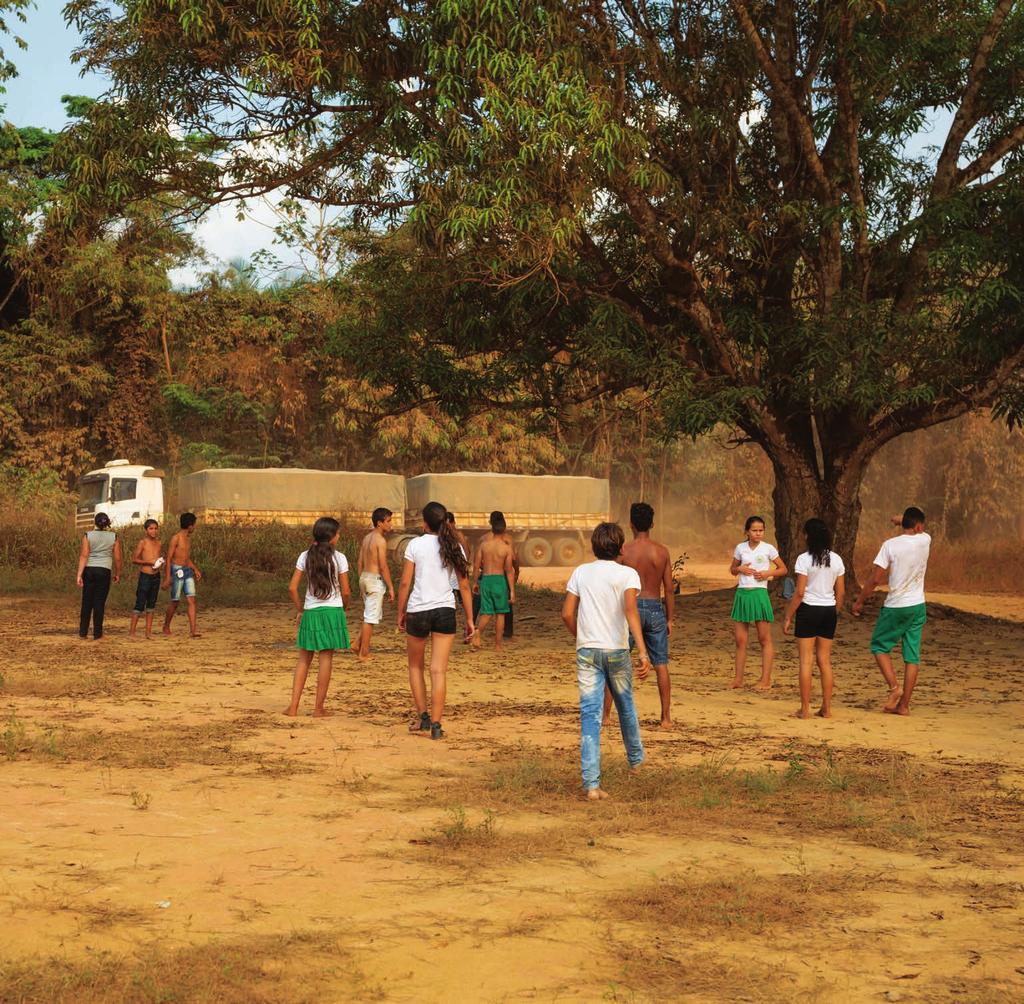 Nos últimos anos, com a evolução do asfalto e dos embarques de grãos em Miritituba, a família vem apostando também no cultivo de soja, milho e arroz no sistema de integração lavoura-pecuária (ILP),