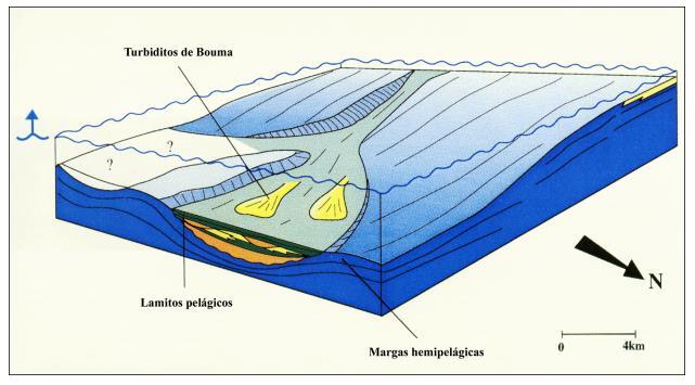 associam as alterações no estilo da sedimentação na Bacia de Campos, originadas por uma tendência geral de aumento do nível do mar e por subsidência térmica, com a deposição do sistema turbidítico