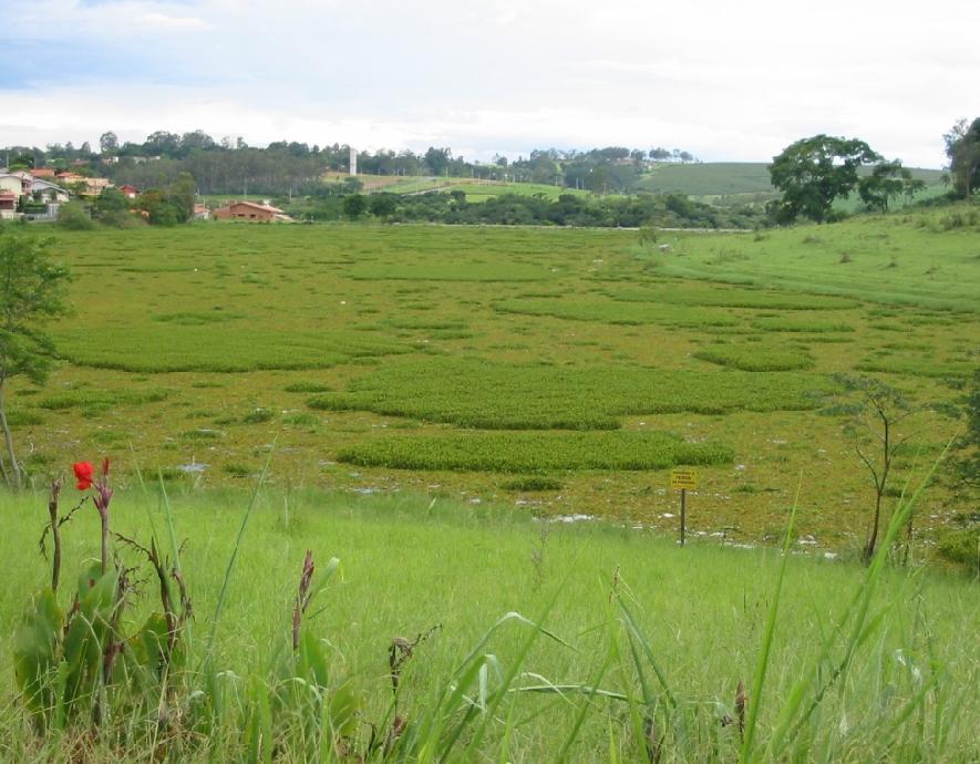 LAGOA DAS