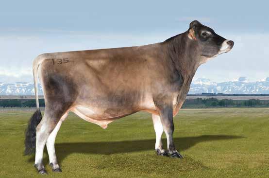 SUNSET C DIXIES DELIGHT-ET Vernon x Allstar x Restore Jersey TROPICAL Delight Touro completo: extremo para produção de leite, sólidos e vida produtiva Produz vacas eficientes e rentáveis A2A2 para
