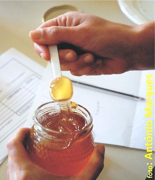 Mel DOP Mel dos Açores: O uso da denominação de origem do mel dos Açores está definido pelo Caderno de