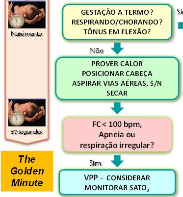 A ventilação pulmonar é o procedimento mais simples, importante e efetivo na reanimação do RN!