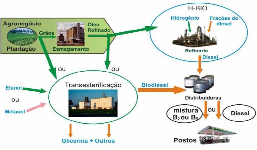 Produção de Biocombustíveis Processos