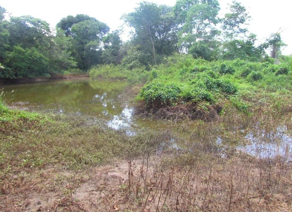 IMAGEM 13 Rio Arapuim parte do rio que se encontra seca FONTE: SILVA, Greiciele Soares da.