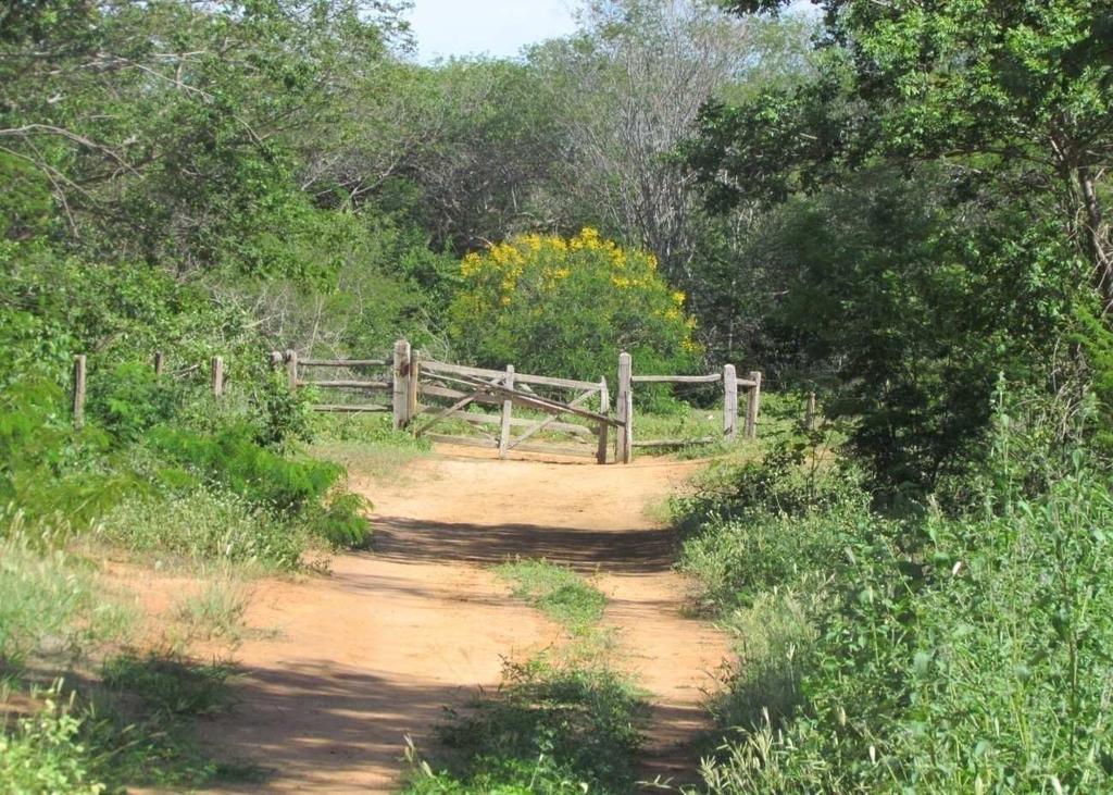 Entrada para o Acampamento Santa Fé Município de