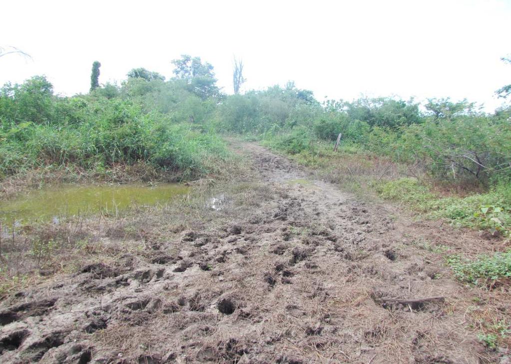 Estrada Acampamento Santa Fé (Município de Verdelândia MG) para fazenda