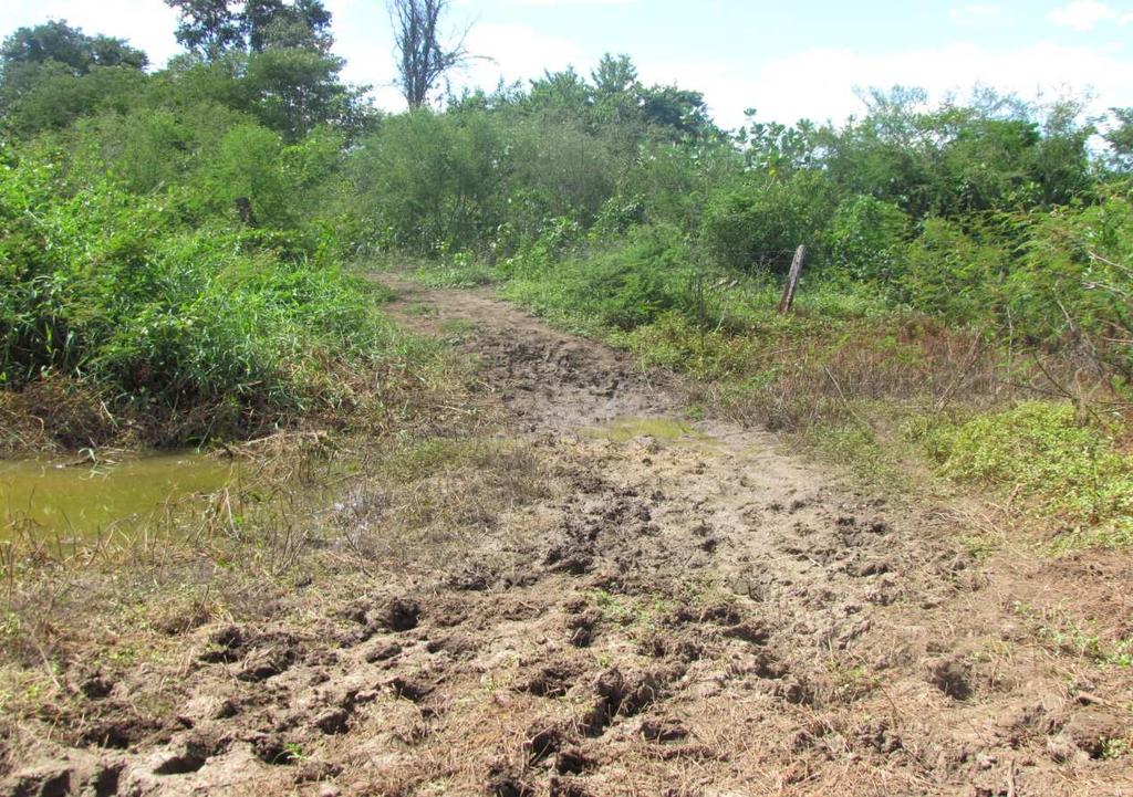 Estrada Acampamento Santa Fé fazenda Torta/Morro