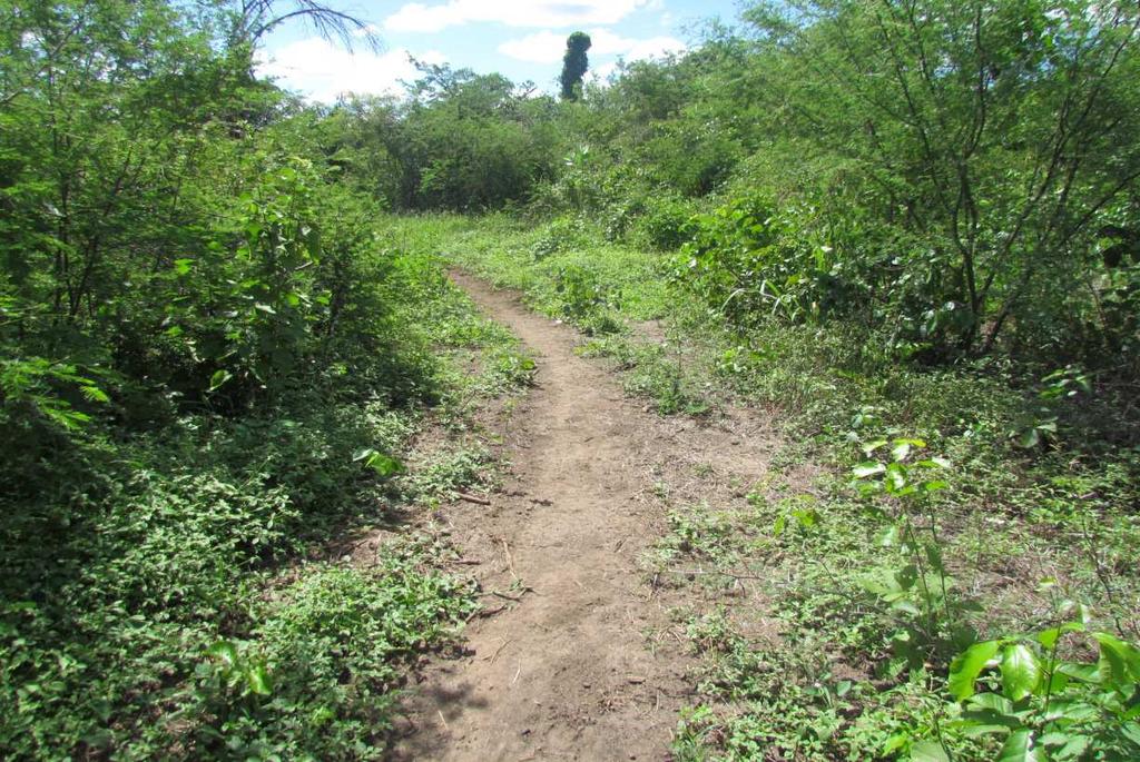 Estrada Acampamento Santa Fé fazenda Torta/Morro