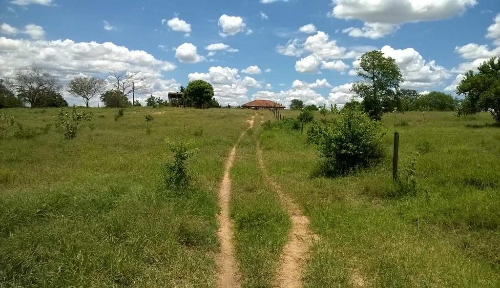 Estrada para Sede da Fazenda Torta/Morro Preto (São
