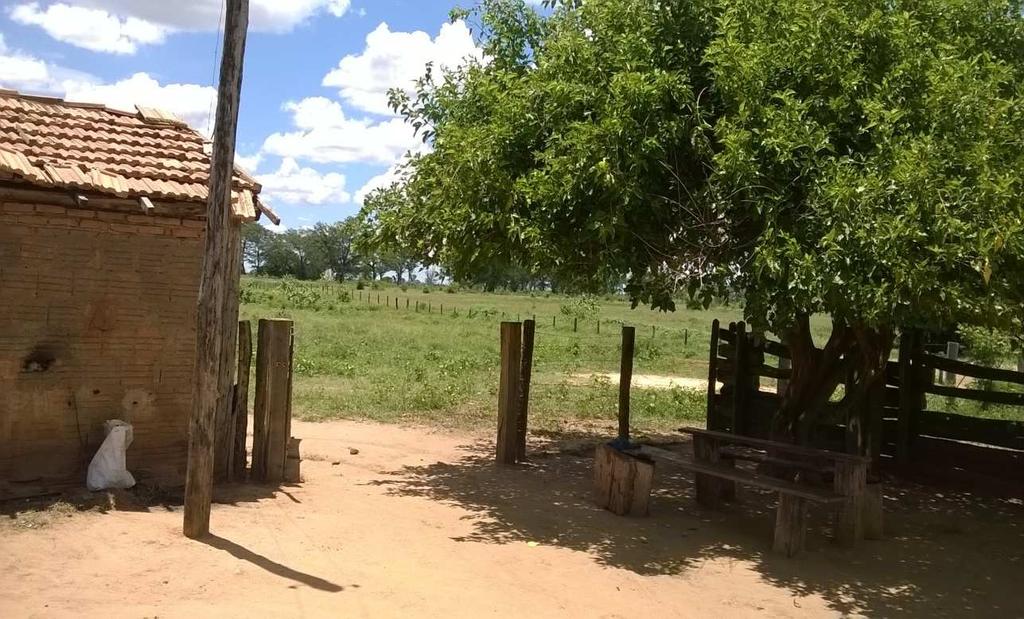 2017. Sede da Fazenda Torta/Morro Preto (São  2017.