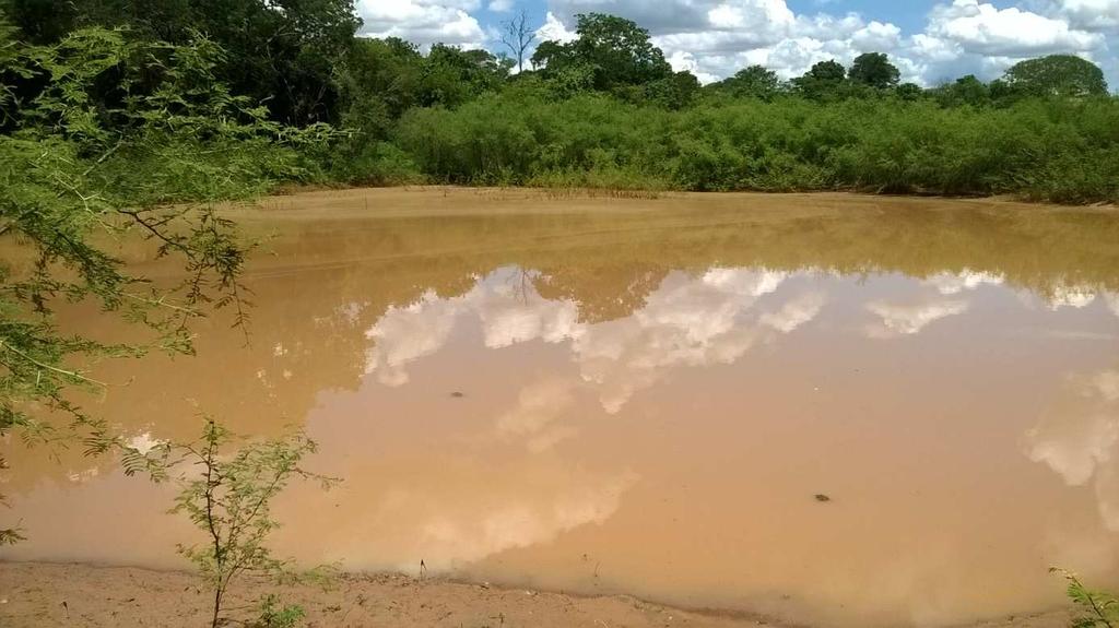 Lagoa de água de chuva na fazenda Torta/Morro Preto