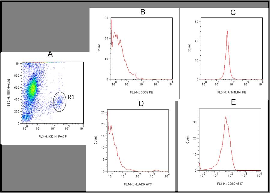 Materiais e Métodos A população de monócitos foi selecionada por uma janela (R1) - gate, através da construção de gráficos de densidade de fluorescência-3 (FL3, CD14- PerCP) versus granulosidade